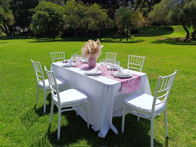 Montaje de mesa con camino de color malva